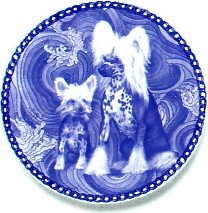 blue willow dog dish